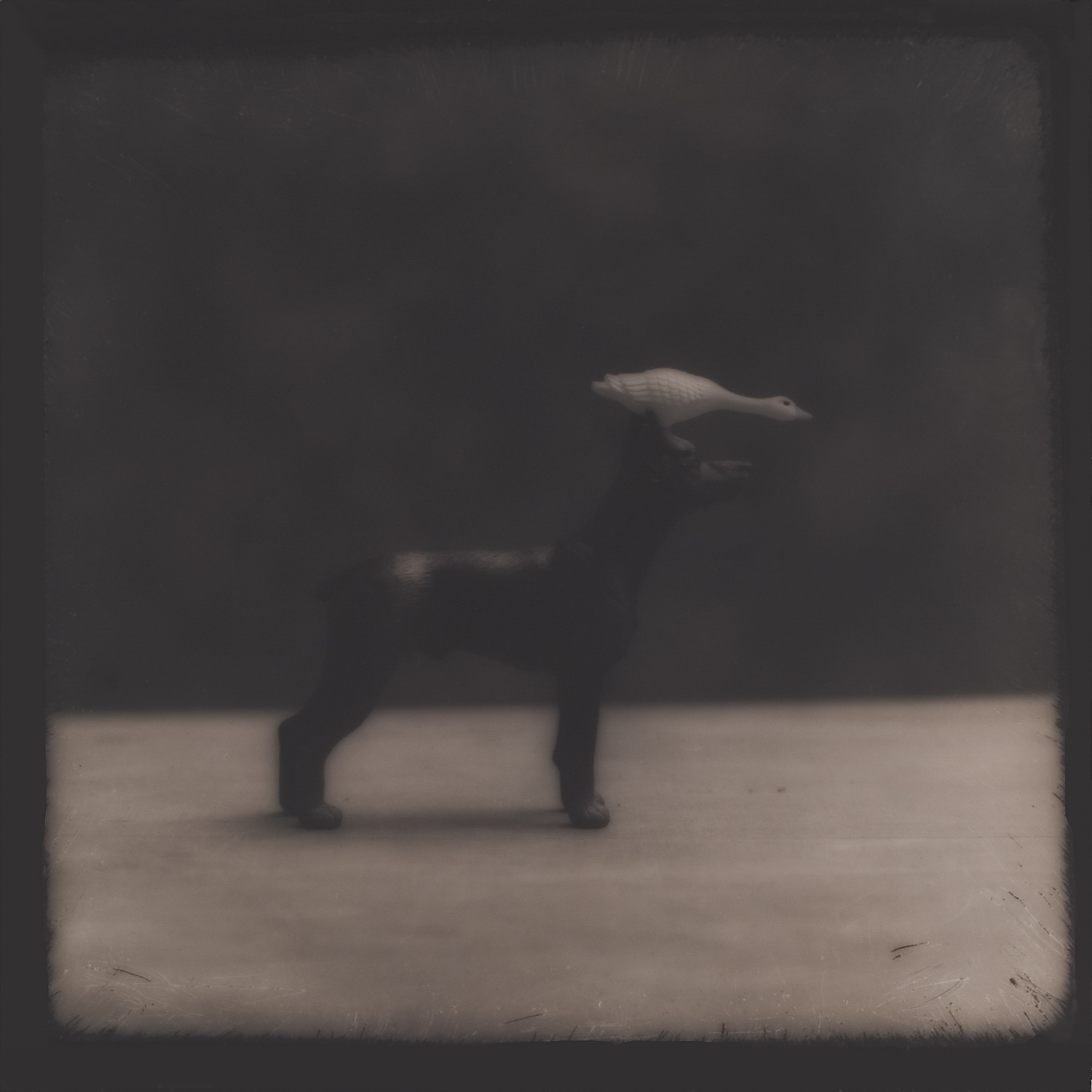 from the series Tales